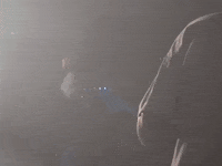 GIF by Topshelf Records