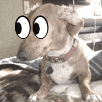 sabbaticgrime noticing GIF