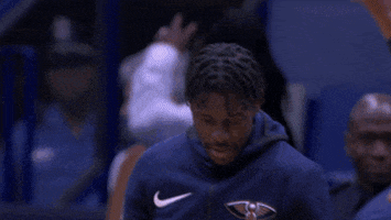 happy new orleans pelicans GIF by NBA