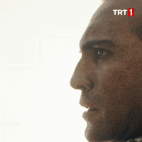 Dirilis Ertugrul Trt1 GIF by WASS Medya