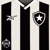 Futebol Libertadores GIF