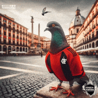 Rubro Negro Futebol GIF