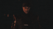 cats GIF