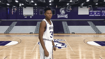 Basketball Warriors GIF by WinonaStateATH