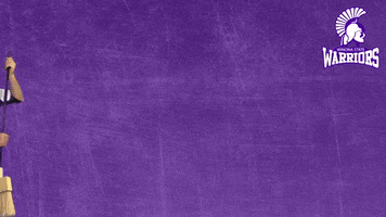 Baseball Warriors GIF by WinonaStateATH