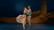 Enblecorsaire GIF by English National Ballet