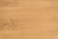 GIF by Sesame Street