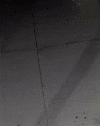 Vasco Da Gama GIF