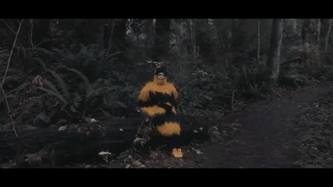 Bee Charity GIF by The Head And The Heart