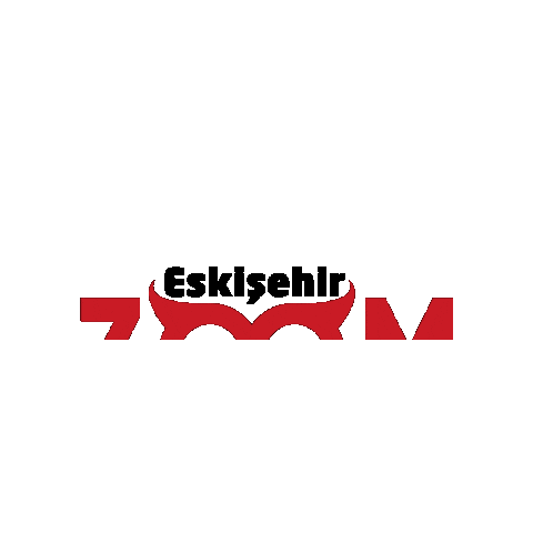 Logo Zoom Sticker by Experix Kurumsal Oto Ekspertiz