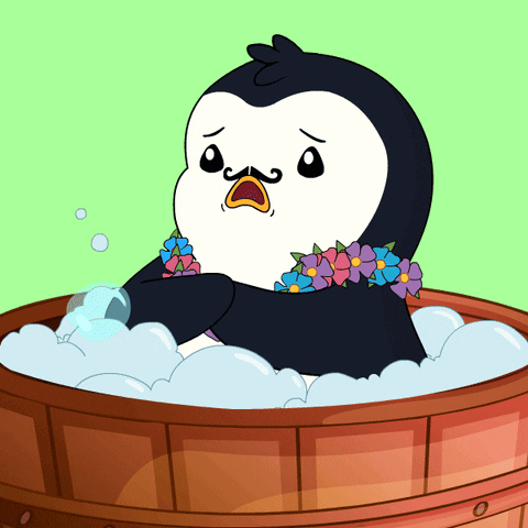 Freezing Cold Water GIF by Pudgy Penguins