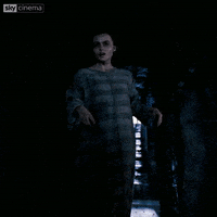 Harry Potter Yes GIF by Sky