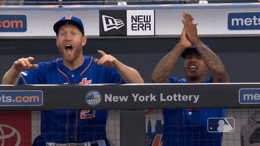Ny Mets Sport GIF by New York Mets