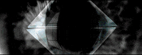 GIF by Ai Di Ti