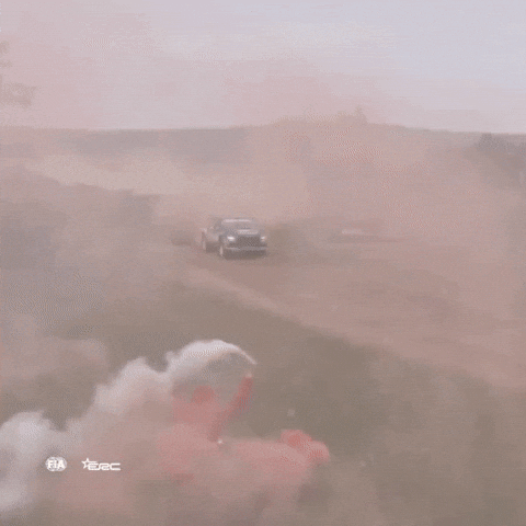 Driving Jumping Car GIF by FIA European Rally Championship