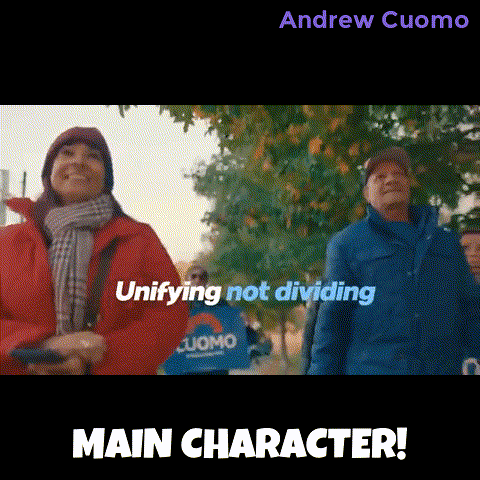 New York Vote GIF by Andrew Cuomo