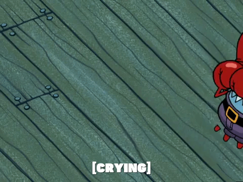 season 5 GIF by SpongeBob SquarePants