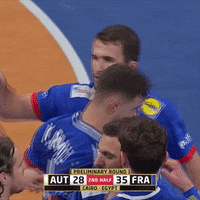 Ffhandball GIF by Fédération Française de Handball