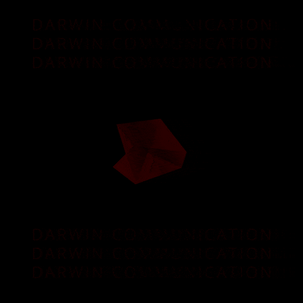 darwin giphyupload GIF