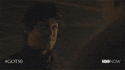 Hbo GIF by Game of Thrones