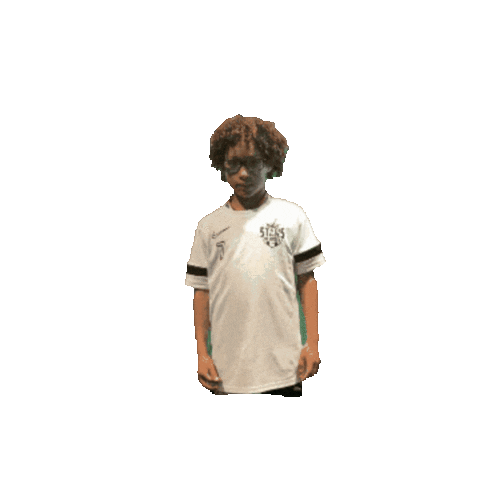Sticker by Stars of  Soccer