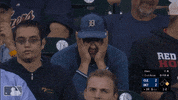 Major League Baseball Reaction GIF by Detroit Tigers
