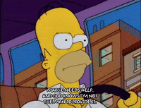 homer simpson GIF
