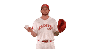 Baseball Glove Sticker by Winnipeg Goldeyes Baseball Club