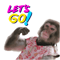 Lets Go Fun Sticker