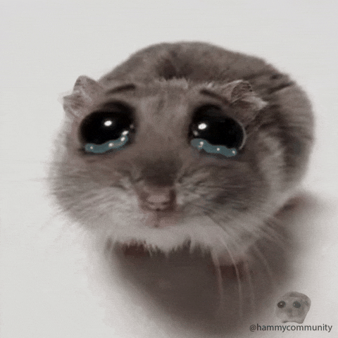 Sad hamster