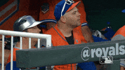 Excited Ny Mets GIF by New York Mets