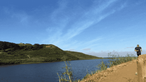 andylesavage giphyupload trail running GIF