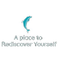 Dolphinsuitescuracao curacao rediscover dolphinsuites tropicalgetaway Sticker