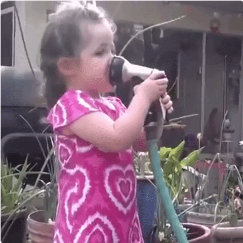 family kid GIF by The Videobook