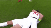 celebrate three lions GIF by England