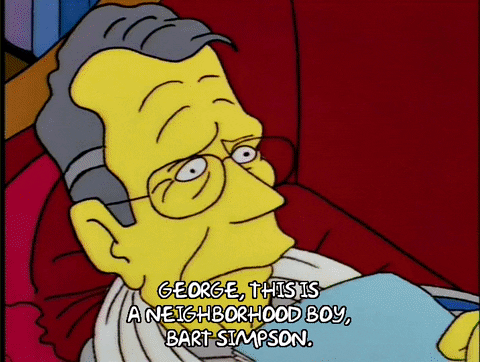 bart simpson episode 13 GIF