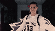 Siu GIF by SIUSalukis