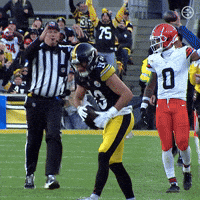 Celebration Nfl GIF by Pittsburgh Steelers