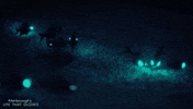 fish glowing GIF by BBC Earth