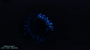 disco spinning GIF by BBC Earth