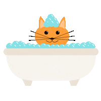 Cat Loop Sticker by Social Kapture