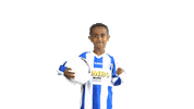 Blauwwit Celebrating Sticker by Voetbalvereniging Scherpenzeel