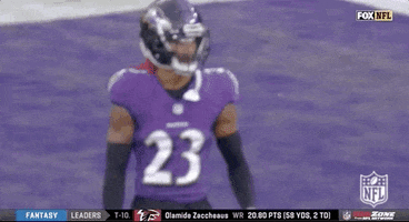 Baltimore Ravens Football GIF by NFL