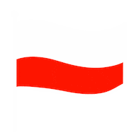 Independence Day Flag Sticker by PokaDesign