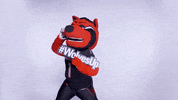 Howling Red Wolves GIF by Arkansas State University