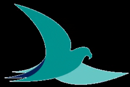 Seahawk Teal Bird GIF by UNCW Alumni Association