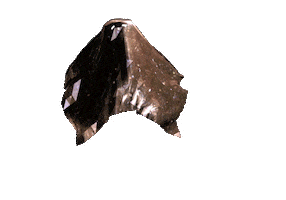 art 3d GIF by The NGB