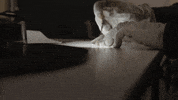 BeNatural film movies woman black and white GIF