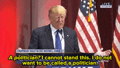 donald trump news GIF