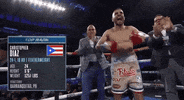 toprank fight boxing fighting espn GIF